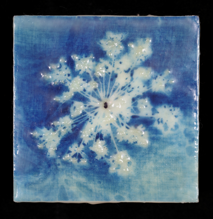 A negative image of a flower on a field of blue